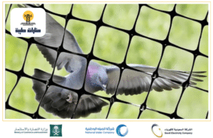 طوارد الحمام في حائل