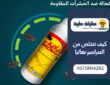 كيفية القضاء على الصراصير نهائيًا : حلول بسيطة وفعّالة من بيتك السعودي