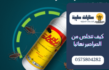 كيفية القضاء على الصراصير