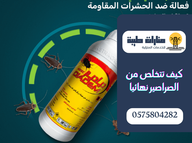 كيفية القضاء على الصراصير