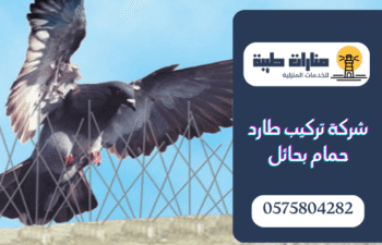شركة تركيب طارد حمام بحائل