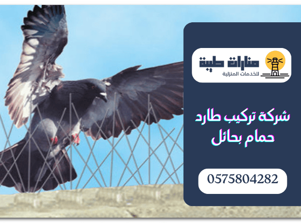 شركة تركيب طارد حمام بحائل