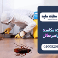 شركة مكافحة الصراصير بحائل