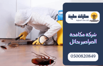 شركة مكافحة الصراصير بحائل