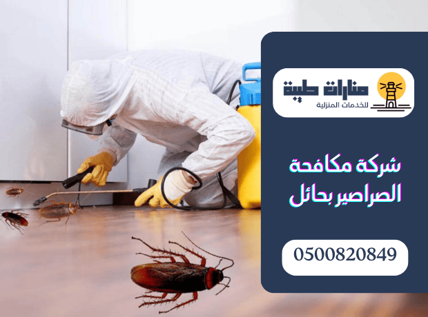 شركة مكافحة الصراصير بحائل