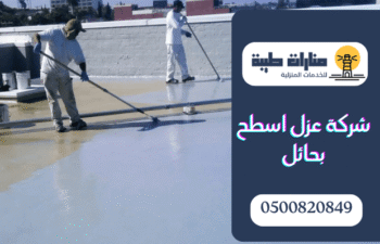 شركة عزل اسطح بحائل