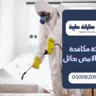 شركة مكافحة النمل الابيض بحائل