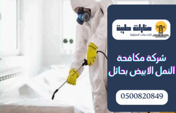 شركة مكافحة النمل الابيض بحائل