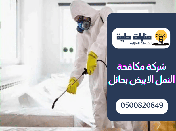 شركة مكافحة النمل الابيض بحائل