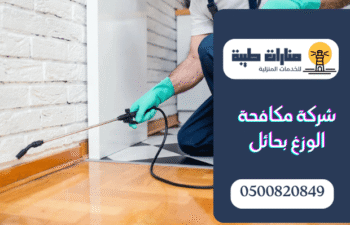 شركة مكافحة الوزغ بحائل