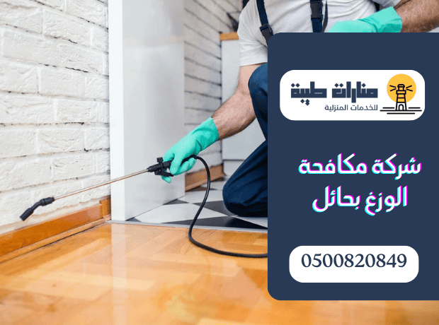 شركة مكافحة الوزغ بحائل