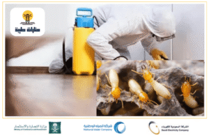 شركة مكافحة النمل الأبيض بحائل
