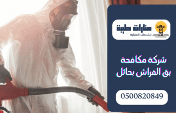 شركة مكافحة بق الفراش بحائل