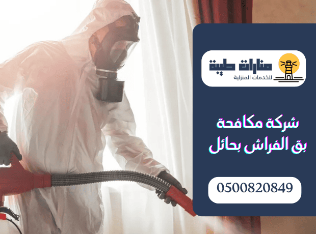 شركة مكافحة بق الفراش بحائل