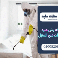 شركة رش مبيد الحشرات في المنزل