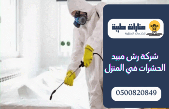 شركة رش مبيد الحشرات في المنزل