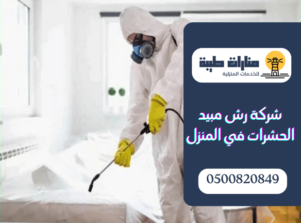 شركة رش مبيد الحشرات في المنزل