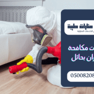 شركة مكافحة الفئران بحائل