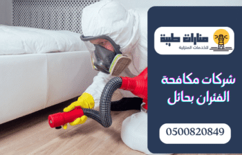 شركة مكافحة الفئران بحائل