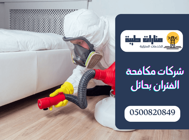 شركة مكافحة الفئران بحائل